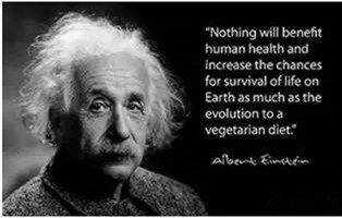 为什么Vegan