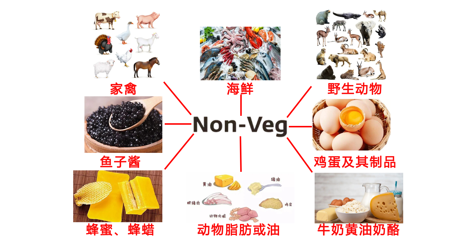 Vegan素食认证标准和流程
